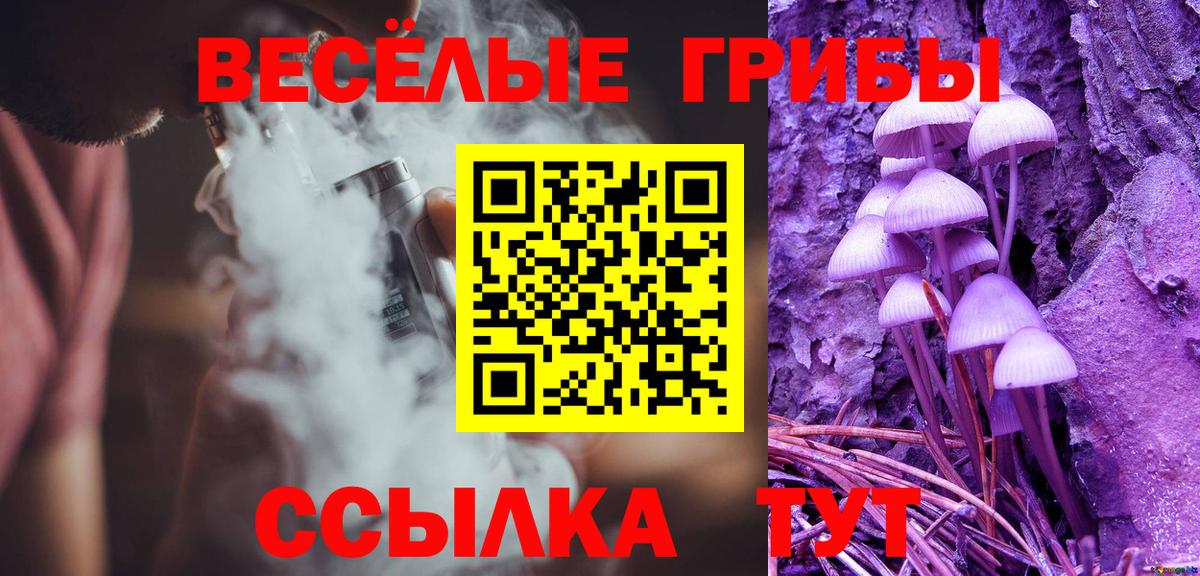 Дюртюли  Псилоцибиновые грибы Psilocybine cubensis  Вход с VPN 